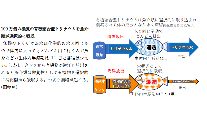 iwakura_fig1.png