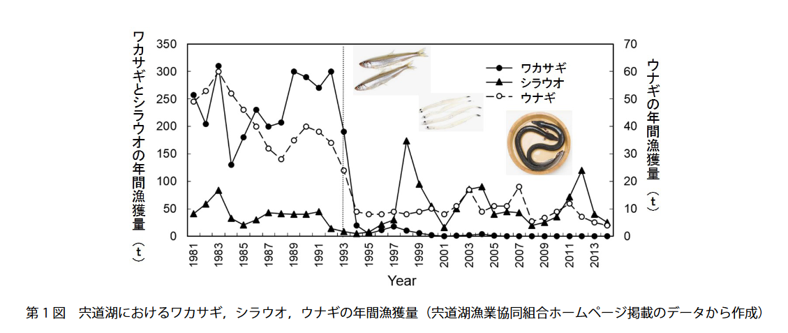 宍道湖のワカサギ減少はネオニコチノイド系農薬が原因 晴川雨読