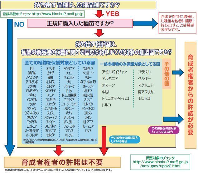 誤った情報をもとにアンケートを取るのはｎｇ 晴川雨読